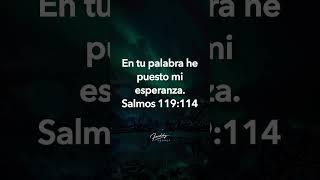 En tu palabra he puesto mi esperanza #freddydeanda #esperanzaenDios #PalabraDeDios #Confianza