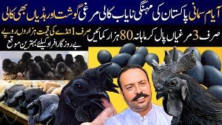 Ayam Cemani Hen Farming Pakistan Most Profitable Business | Ayam Cemani Chicks & Aggs Price