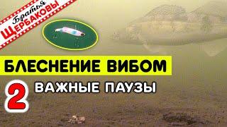 Секреты ловли на ВИБЫ с классическими ПОДБРОСАМИ. Как определять ВЕЛИЧИНУ ПАУЗ? Подводные съемки