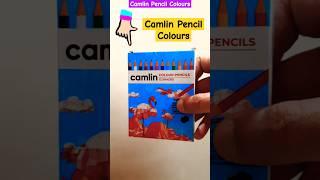 Camlin Pencil Colours 12 Shade Pack Review ️ #stationery