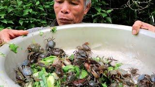 Special crab salad with divine spices of the jungle