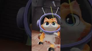 #iamcat #funny #vr
