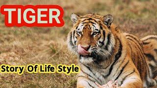 Largest tiger documentary in the world|The survival of a Tiger|tigers wildlife documentary nature