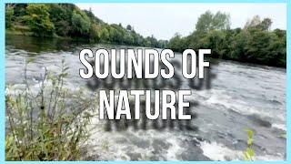 Sounds of NATURE River Ness