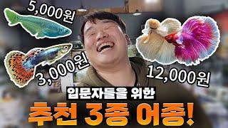 정말 키우기 쉬운 물고기 TOP 3!! 가물치를 집에서 키울 수  있다구요?