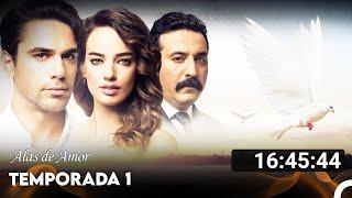 Alas de Amor Temporada 1 Todos Los Capítulos (Doblado en Espanol)