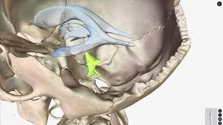 An Overview of the Ventricular System of Brain