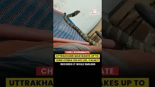 Uttarakhand king cobra viral video #KingCobra #ViralVideo #Uttarakhand #snake #duet #rescue