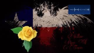 Yellow Rose Of Texas made using Medly