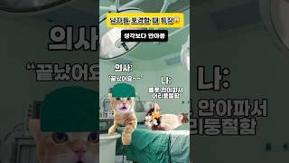 남자들 포경수술할 때 특징 #고양이밈