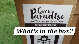 Grow paradise unboxing, what's in the box?