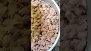 Md Salman ustad chicken haleem gravy chicken  Apollo chicken Chennai Indian dishes