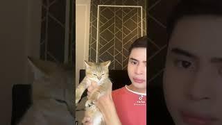 TiKTok ikhmal Nour part 38