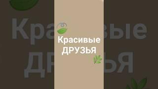 КАКИХ людей мы считаем КРАСИВЫМИ? КАК ВЛИЯЮТ на нас комплименты от наших друзей #черныйквадрат