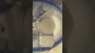 What is this?