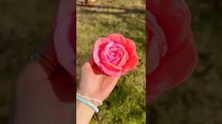 DIY COTTONPAD FLOWER Tutorial!  *Cute Gift Idea* 