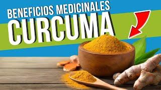  La CÚRCUMA y sus PROPIEDADES MEDICINALES  Cómo Usarla - Su Cultivo - Beneficios  ¡UN TESORO!