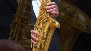 Hallelujah (Saxophone cover) Saxophone Solo by Yuriy Fedorenko (Kyiv)