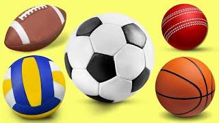 MASTERY BASIC Learn Easy English | Learn Sports Balls For EVERYBODY