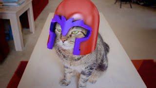 X-Men: Magneto Cat