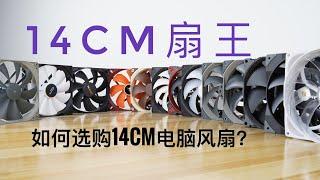 The Best 140mm Fans Roundup -  [谁才是14厘米风扇之王？] 顶级14CM电脑风扇散热效能/噪音对比横测