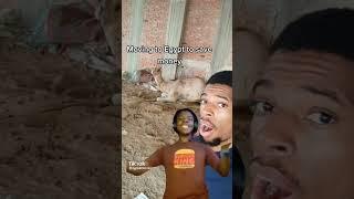 I CAN NOT BELIEVE THIS