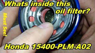 Honda Oil Filter Cut Open 15400-PLM-A02