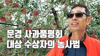 문경 사과품평회 대상 수상자의 농사법