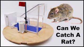 Help Me Modify The "You Have Mail" Trap So It Can Catch Rats. Mousetrap Monday.