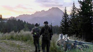 Bergjagd Juli 2022 / Jagd auf Rotwild und Bergböcke