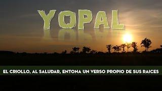 Del estero al morichal, una aventura llanera. Yopal día 1 y 2