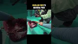 우리나라에서 잡힌 참치 배 속을 열어보았더니... #shorts #tuna