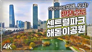 [언택트 드론 여행 4K] 인천 송도- 센트럴파크, 해돋이공원 / Non-contact Drone Travel in Korea