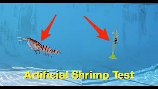 Best Artificial Shrimp To Fish Under A Popping Cork (Brand Comparison Test)