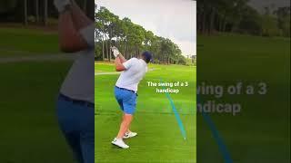 Barstool Sports Riggs shows off his action/move