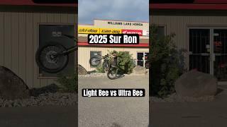 2025 Sur Ron / light Bee X vs Ultra Bee / What Do YOU Ride?
