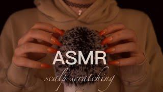 ASMR | pure Scalp Scratching - no talking, mixed pace, fluffy blue yeti