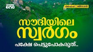 ഖാത്ത് ഇലകൾ അടക്കി വാഴുന്ന ഫൈഫ കൊടുമുടി; സൗദിയിലെ സ്വർഗം | Fayfa Mountains in Jizan | Saudi Story