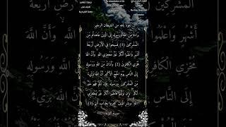 برائة من الله ورسوله إلى الذين عاهدتم من المشركين #سورة_التوبة #بدر_التركي #أحمد_طالب