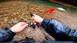 UN PESCE OLTRE LE ASPETTATIVE! - Pesca alla Trota a Spinning in Torrente