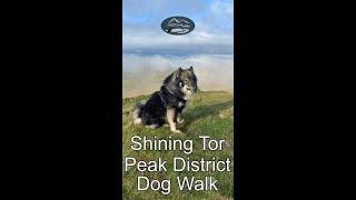 No Weather Is Going To Stop Our Dog Walk to Shining Tor Peak District. #shorts