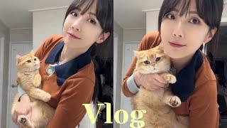 vlog | 직장인브이로그 | 이직 후 첫출근 | 붙임머리 | 전복솥밥 만들어먹기 ‍ | 일주일 일상 브이로그