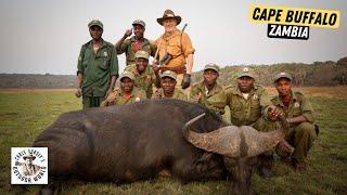 4 Epic Cape Buffalo Hunts from Zambia