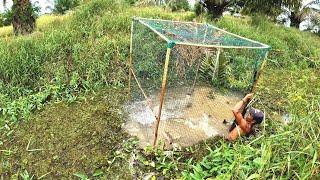 Satu jebakan dapatnya puluhan ekor ikan kerandang