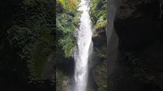 waterfall sikkim| kanchanjangha falls sikkim #short #shorts