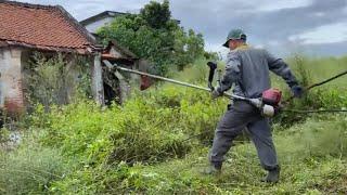Overgrown Yard Cleanup at Abandoned House | Insane Before & After
