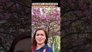 CHERRY BLOSSOM FESTIVAL NJ, USA ( BEAUTIFUL SPRING -2023 ) ALMA CETINICH IN USA # shorts