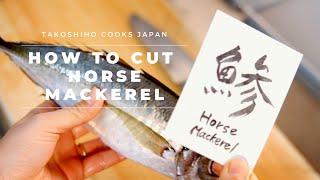 How to cut Horse Mackerel | SUSHI Training vol.1 |  Takoshiho Cooks Japan