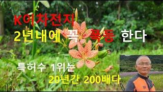 K이차전지는 20년 이상 독점이다. 그냥 장투하면된다.