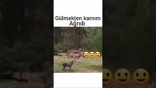 ilginç videolar